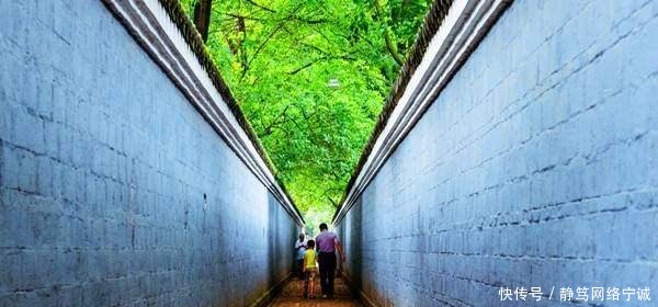 安徽正在修建一条高铁, 预计2019年通车, 途经