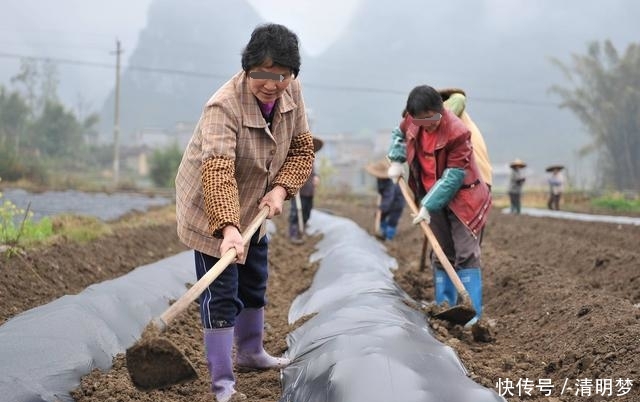 女儿出嫁五年未归,母亲忍不住偷偷探望,邻居却说你女儿早死了