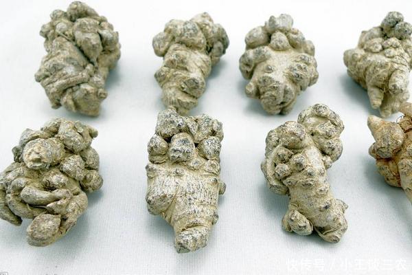 三七虽好,但是哪些人不宜吃!