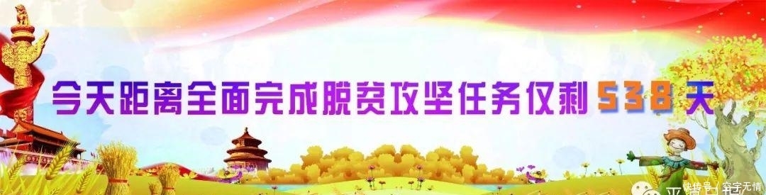 今日入伏!平凉这些美食和伏天更搭哦 云顶国际官网