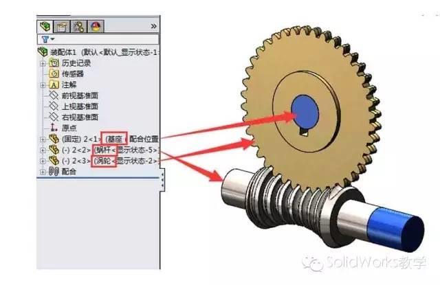 solidworks教程-蜗轮蜗杆的绘制及传动-solidworks魔方云学院