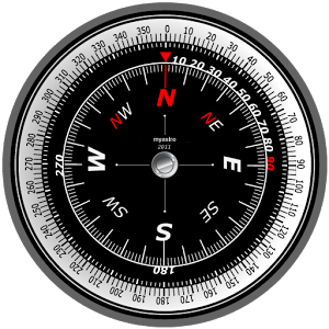 gyro compass 3d