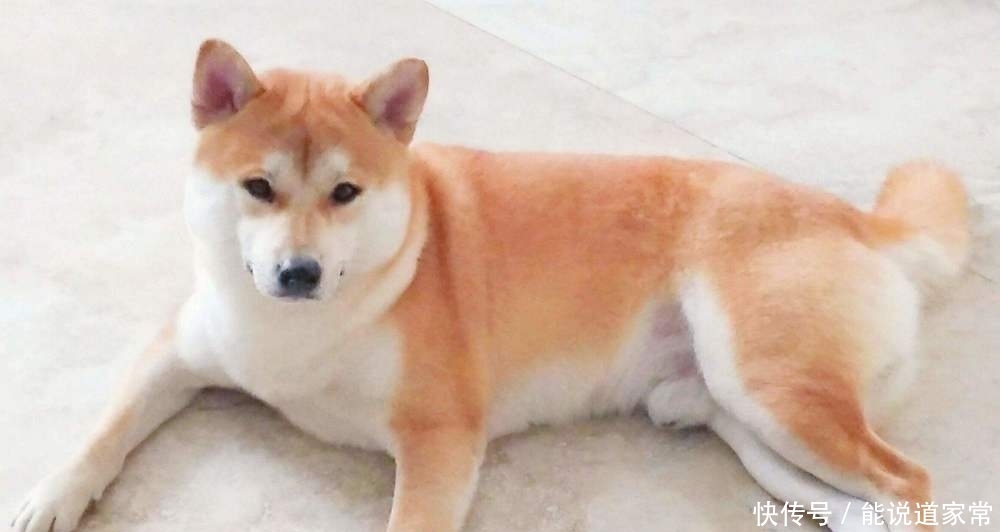 t01cd9b84fb517fa1da.jpg?size=1000x532