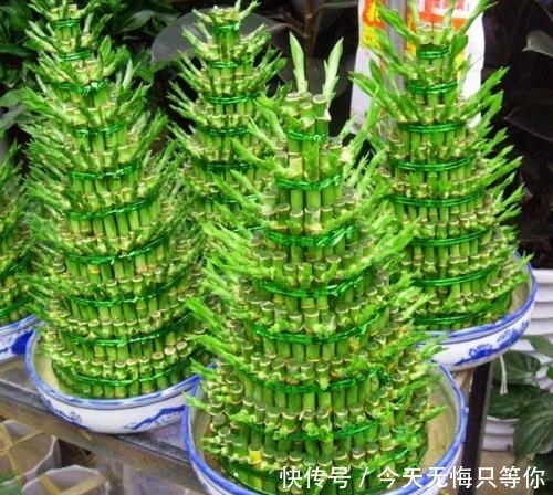 t01cdbe09749ac8fb85.jpg