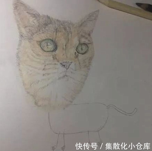 什么的画一画