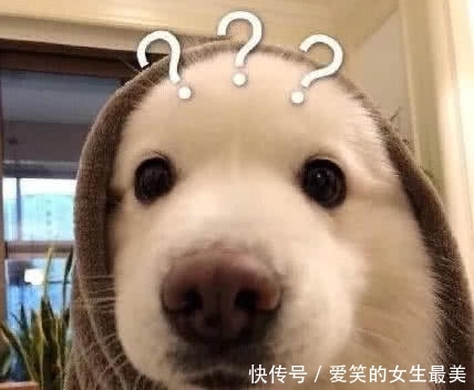 万网友火了,梗都接住,表情:斗图技楼上已疯表情包图片