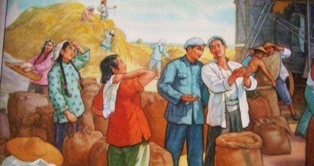 什么是农村合作社