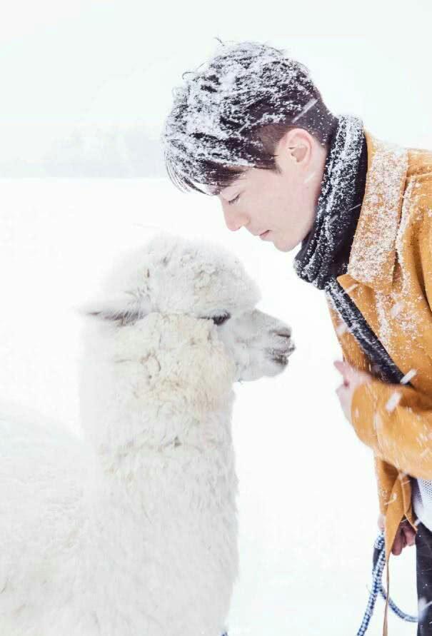 杨幂新剧《巨匠》正式开拍,男主还是高颜值的