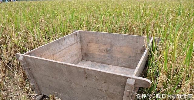 t01d14782c23dd0457d.jpg?size=640x331