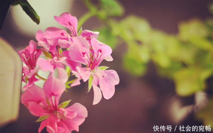 未婚先孕,爸妈陪嫁房子,老公说的话气得我把房