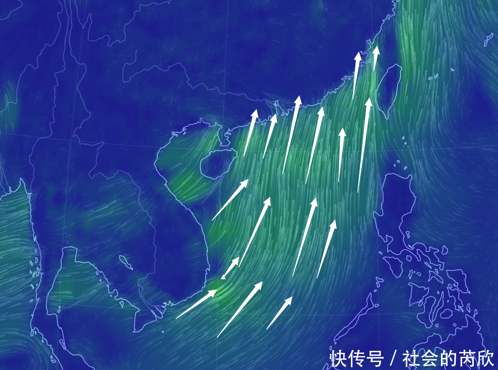 台风胚胎凶猛!深圳特大暴雨打破历史记录