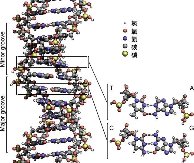 t01d1fc9c0a3a6c9988.jpg?size=640x539