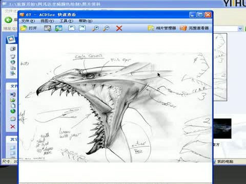 zbrush模型-女妖翼兽