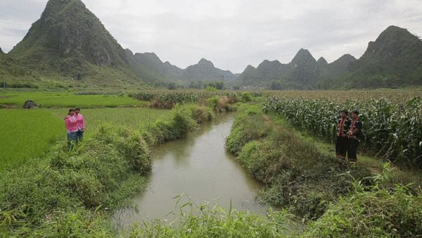 广西砍手党村的救赎:教好下一代 回归种植
