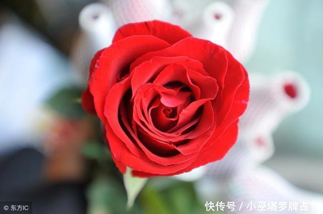 塔罗牌占卜爱情:未来的TA会在哪里出现?