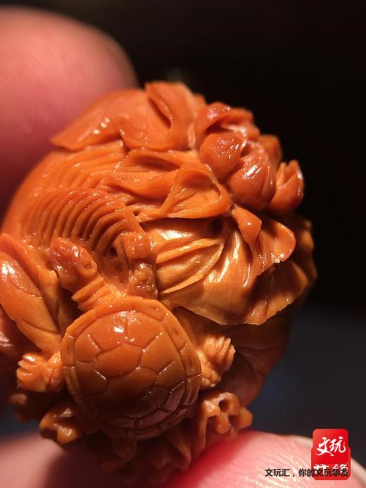 雕刻里金蟾、龟、鲤鱼的寓意你都知道吗?