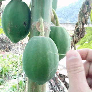 超级搞笑,谁看谁笑到合不拢嘴的二十七张图(211943)