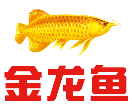 佛山市禪城區(qū)魚你有緣水族館（魚你有緣(春意三店)怎么樣）