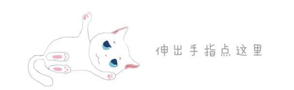 流浪橘猫偶遇消防员,靠技能获得长期饭票,成为局内兼职消防猫 e乐博官方网站