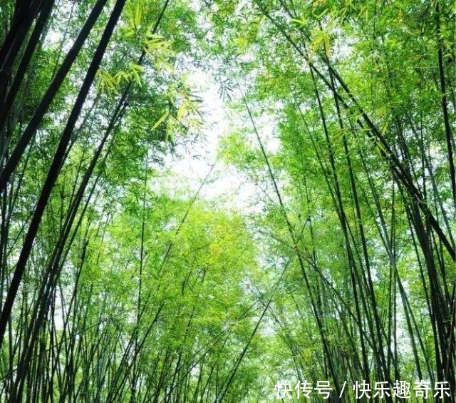 休四天,五一小长假旅游计划做起来