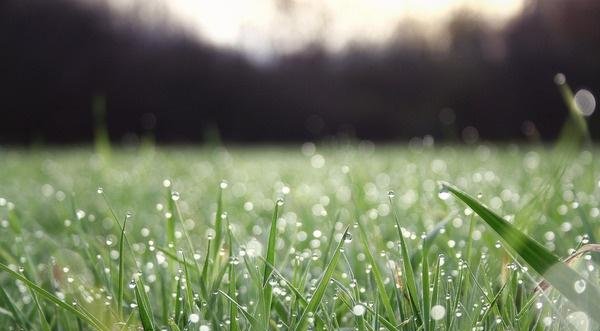 19年除夕当天立春,古语寡妇年,倒春寒今年春