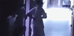 t01db3146f1566eb88e.gif?size=240x116