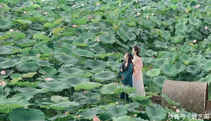 这四大生肖女苦尽甘来,2018年福气最多!