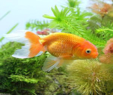 七星彩现在要在哪买啊?有谁知道吗?_360问答