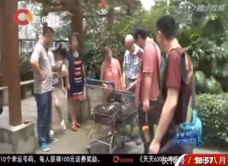 一养就是九年,小蛇变百斤巨蟒,老夫妻两每天推