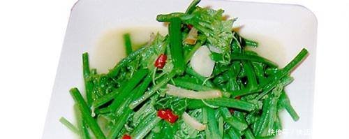 农村最值钱的种植、养殖!都来看看有什么吧!