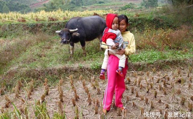 农民朋友注意，遇征地时，家里这些特殊人口都可获征地补偿费