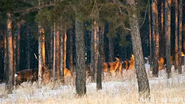 此小城在中国最冷的城市中排名第二,11月底温