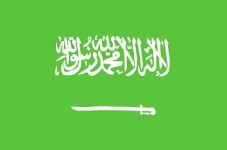 但沙特阿拉伯的国旗却是一个例外,不但有文字,而且是世界上文字最多的