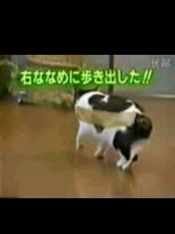 爆笑短片_360手机助手