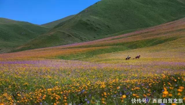 巩乃斯大草原，天山深处的“伊甸园”，一年四季都美得惊人！