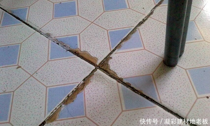 t01e3c14a0ab13fdf36.jpg