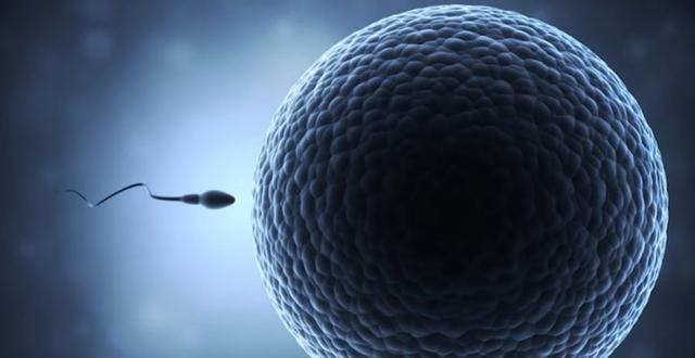 6种方法解释出为何外星人从未造访过地球?