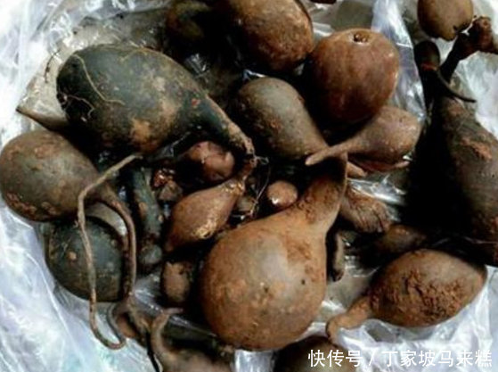 男子想出掉家里的白蚁,扒开蚁洞后,里边的东西