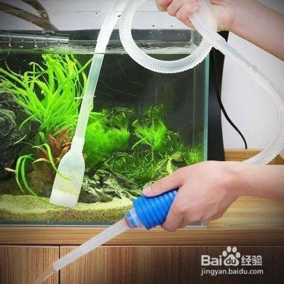 吉林雅兴缘花鸟鱼交易中心彩韵海洋水族馆（吉林市雅兴缘花鸟鱼市场）