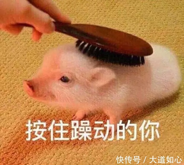 乘机也能看球赛 泰国航空将全程直播世界杯