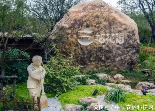 从无到有,年入6亿的特色小镇是如何炼成的?