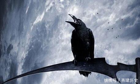 为何山东曲阜孔林上不落乌鸦,下不招蛇说出来