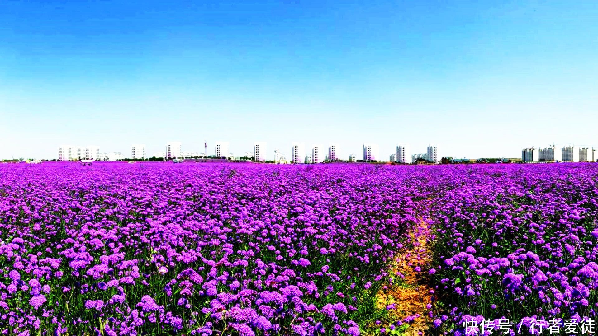 甘肃除了嘉峪关 兰州 酒泉,就数它最富裕,不是庆