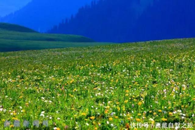 巩乃斯大草原,天山深处的“伊甸园”,一年四季都美得惊人!