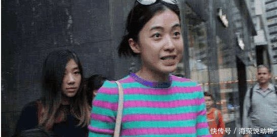 看了甘比接孩子放学的照片, 再看徐濠萦的, 网友