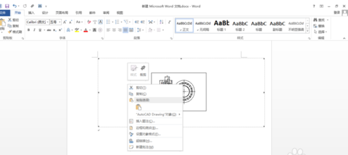 cad图复制到word文档里看不到?cad无法拉伸填充图片