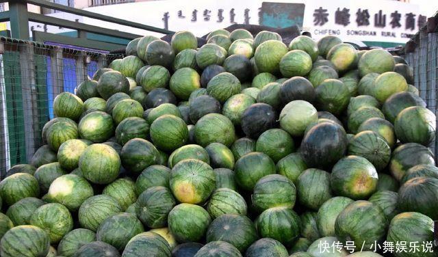秋风渐凉,西瓜三毛没人理,打瓜五毛卖的快,内蒙