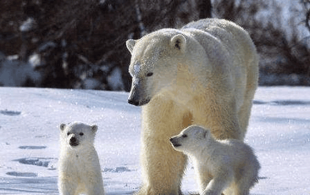 有哪些一年级孩子能看的具有教育意义的电影,