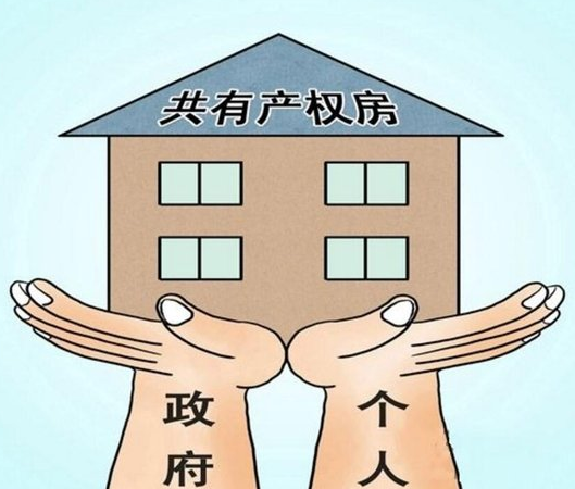 北京共有产权住房规划什么时候实施?