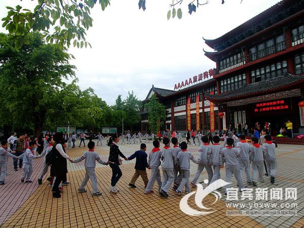 名学生进茶园,开展研学旅行活动体验茶文化以来,宜宾天立国际学校